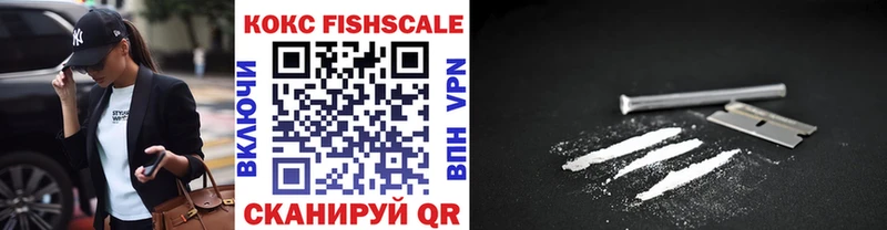Купить закладки  Калязин  Cocaine FishScale 