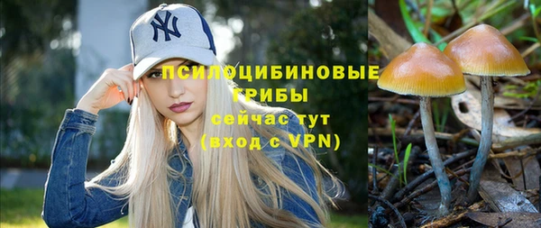 дмт Заволжье