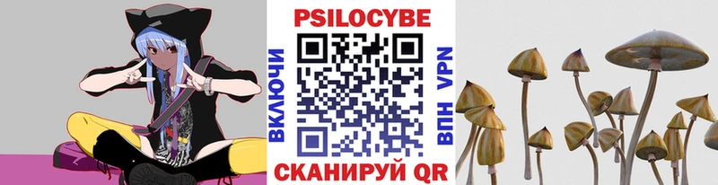 Купить  Калязин  Галлюциногенные грибы мицелий 